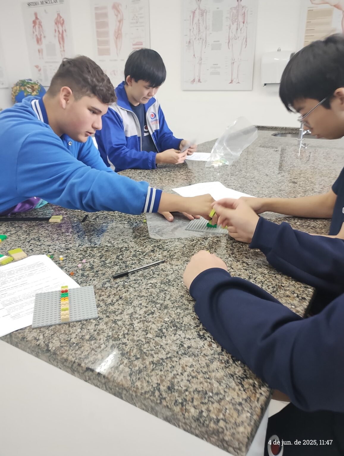 Ensino Fundamental Anos Iniciais